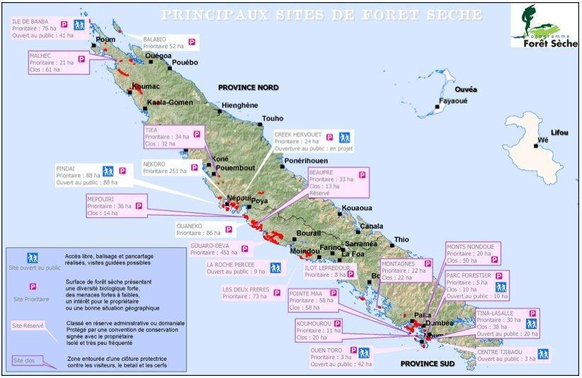 New Caledonia a hotspot itself A champion of