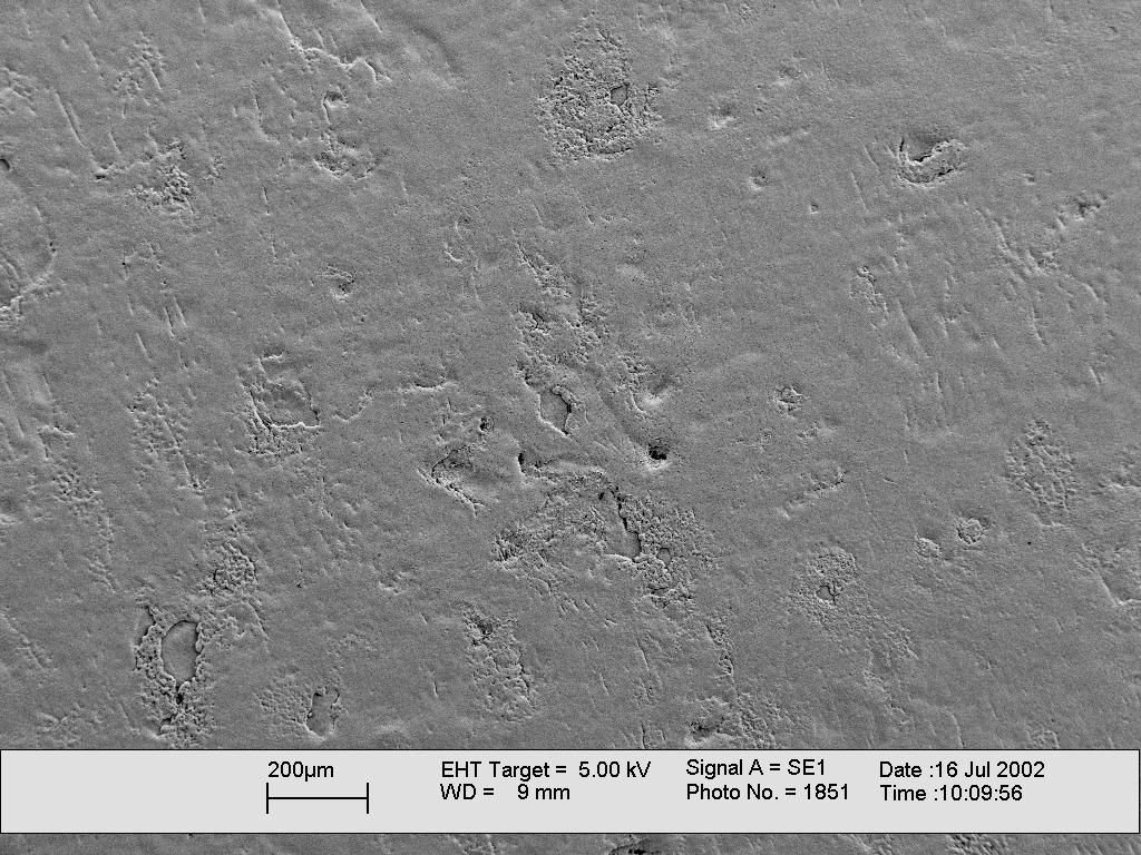 SEM showing cleanliness