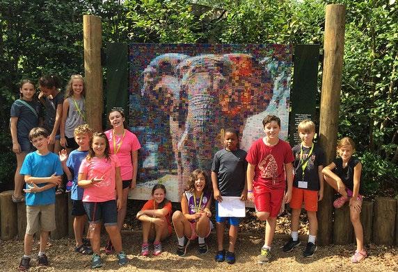 Zoo Camp for children ages 3-14 provides an opportunity to tie your brand to a child s lifelong memory of their summer at the zoo.