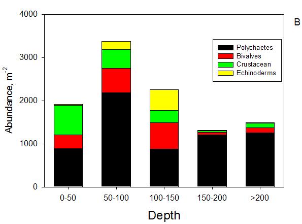 3 The average abundance in the samples between 50-100 m depth ranges was about 3000 indvs m -2 whereas the total abundance in the samples covering the other depth ranges varied between 1400-2200