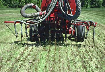 Timing of Liquid Manure Application (1997-2000) Treatments on Maize: early fall (Oct 1) - 93,800 L ha -1 late fall (Nov 1) - 93,800 L ha -1 early spring (April 15) - 93,800 L ha -1 split early spring