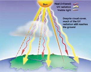 Ultraviolet Radiation Ultraviolet Radiation has more energy than the light you can see.