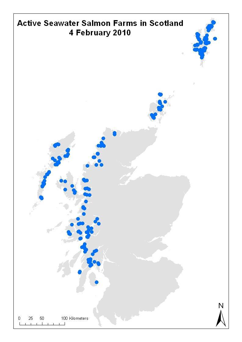 Who are Marine Scotland? Marine management organisation in Scotland. Directorate of the Scottish Government - formed April 2009.