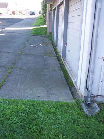 No pipes were observed in the adjacent gutters and no outlets from those drain pipes were visible.
