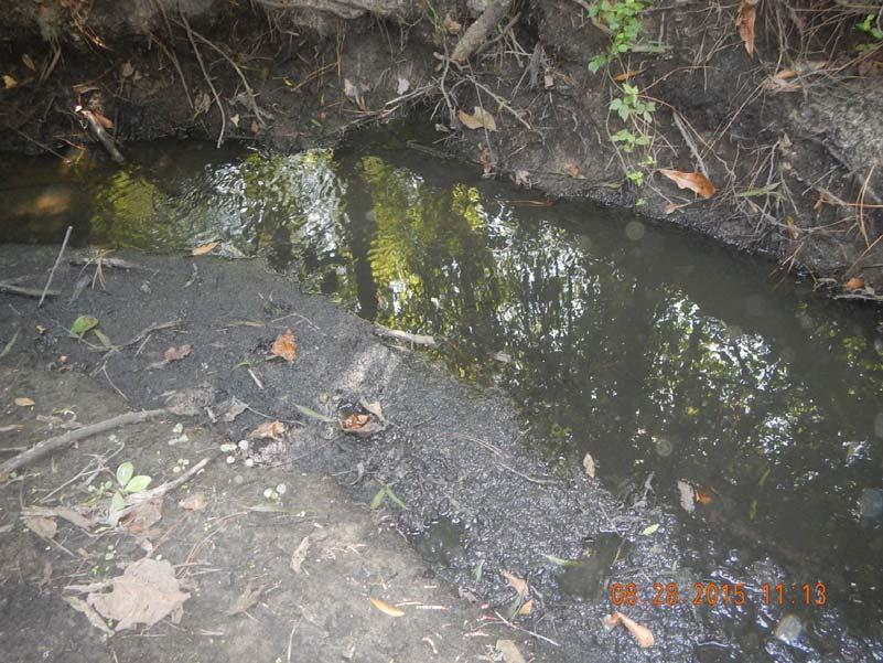 Water Division Photographic Evidence Sheet Location: Del-Tin Fiber, LLC Photographer: Michel Young Date: 08/28/2015 Time: 11:13