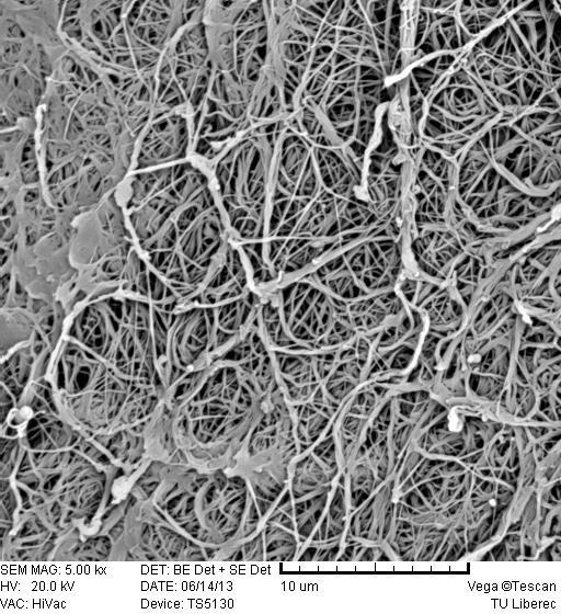 Fig. 1 Microscopic image of polyamide nanofibers (SEM) 2.3 Additives Quality adhesion between fibres and synthetic matrix has a great influence on the final properties of any composites.