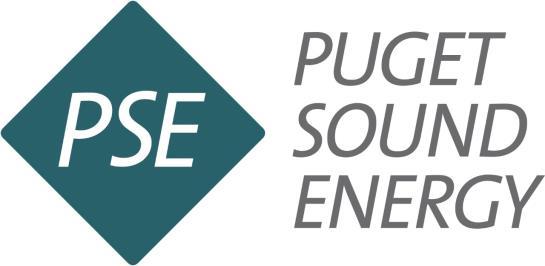 Project Overview PSE + Puget LNG, LLC are building an