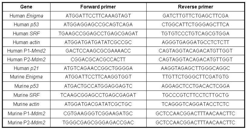 Supplemental Figure 9: Primers used for RT-PCR,