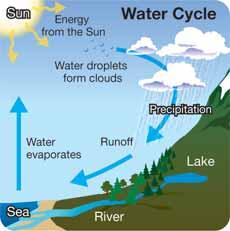 CHAPTER 15: ECOSYSTEMS Nonliving parts of an ecosystem Water and sunlight Carbon and oxygen Living things need water and sunlight. The Sun is always there, but what about water?