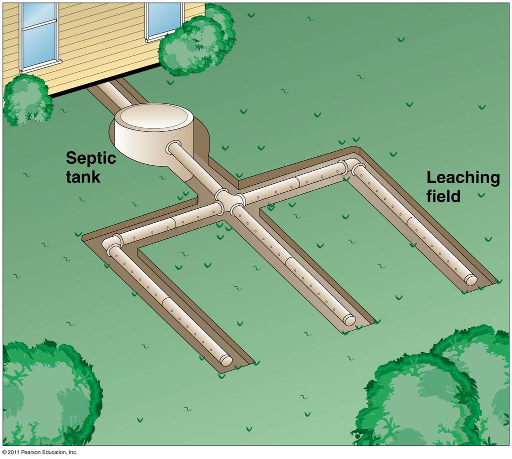Septic tank treatment But not everybody s on the municipal sewage system.