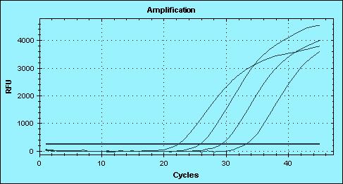Standards Amplification Plot Internal Control Amplification