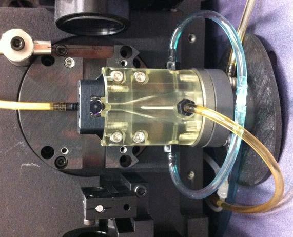 Fluidics Hydrodynamic Focusing Focused Laser Beam Forward Scatter Signal Sheath