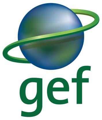 Overview of the GEF6 Integrated Approach