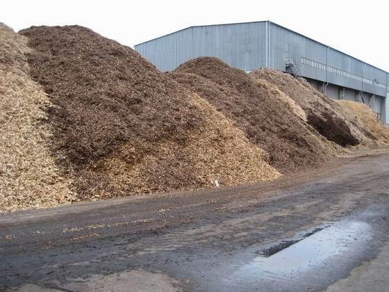 Chip fines are created in sawmills where off-cuts and the round sides of logs are diverted to a chipper. Shavings are created when saw timber is molded to specific section size.