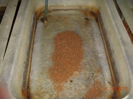 Fig 2: Tilapia eggs incubation in hatching tray During the internship program, the egg collection data was collected from July to September.