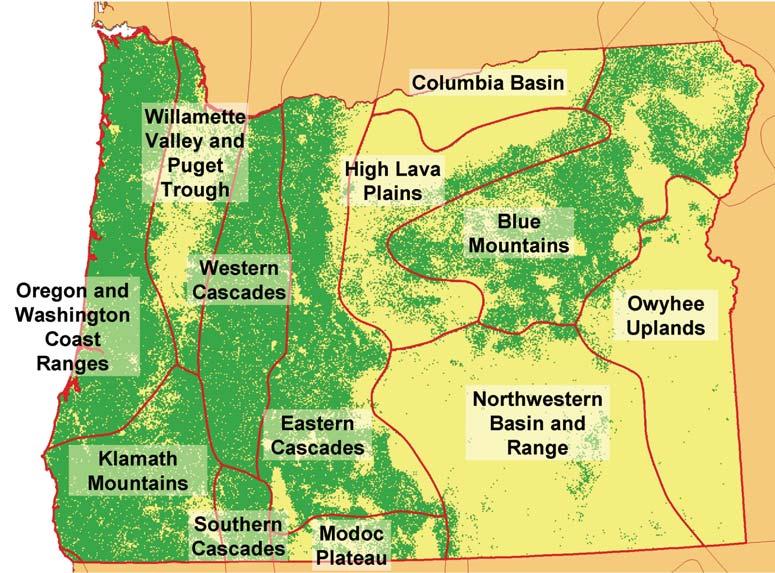 Incidence of Insects, Diseases, and other Damaging Agents in Oregon Forests diameter at breast height (d.b.h.) In eastern Oregon, either a 20- or 30-foot basal area factor prism was used with a maximum sampling distance of 55.