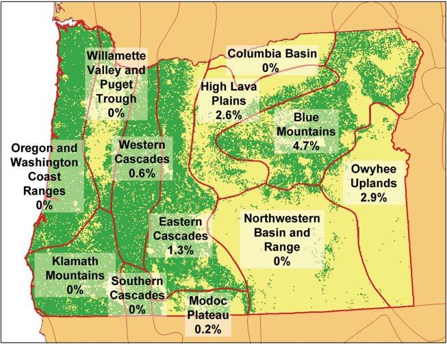 RESOURCE BULLETIN PNW-RB-257 Table 12 Total area and area where >25 percent of conifer basal area was killed by bark beetles, by forest type, and region, 1984 2003 (continued) With >25% conifer
