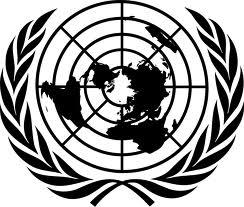 United Nations E/C.16/2019/ Economic and Social Council Distr.