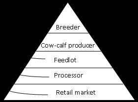 Ideally cattle would be genotyped once early in life and genotypes shared among production sectors to derive