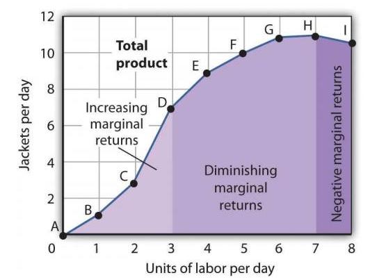 Marginal Physical Product the additional output per unit of input (labor) MPP = in total product Average Physical Product (labor productivity)