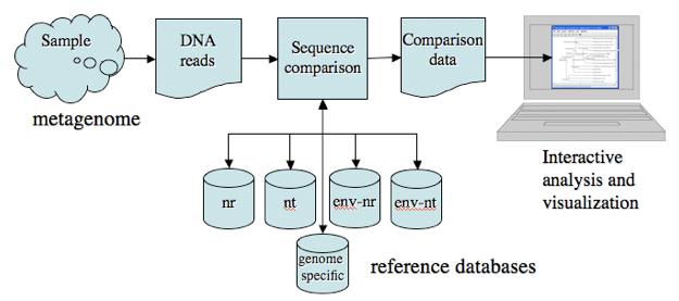 genome. What is genome assembly? What is resequencing? How is DNA sequenced? (Image source: Stephan C.