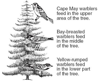 18. The feeding niches of three bird species are shown in the diagram below. What is the advantage of these different feeding niches for the birds?