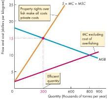 social cost curve is MSC The efficient quality is 300,000 tonnes per year At the market equilibrium, there is overfishing and a deadweight loss arises Achieving an Efficient Outcome: It is harder to