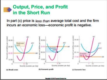 Profits and Losses in the Short Run: Maximum profit is not always a positive economic profit.