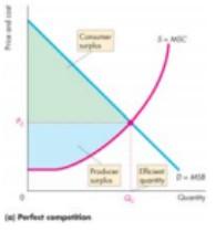 6(a) shows the efficiency of perfect competition The market demand curve is the marginal social benefit curve, MSB.