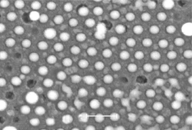 J. Nanosci. Nanotech. 2004, 5, 1 7 Kim et al./formation of Au Nanostructures by Laser-Assisted Deposition Acc.V Spot Magn Det WD 200 nm SEI 15.0 kv 100.000 100 nm WD 8.0 mm 15.0 kv 3.0 100000x SE 10.