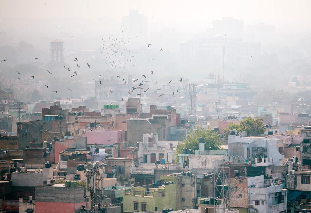 Index AIR QUALITY LIFE INDEX UPDATE JANUARY 2019 The Potential Benefits of India