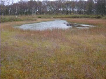 NIR 2009) GHG reduction by peatland restoration: Fen: -8 t C/ha/yr Bog: -4 t C/ha/yr