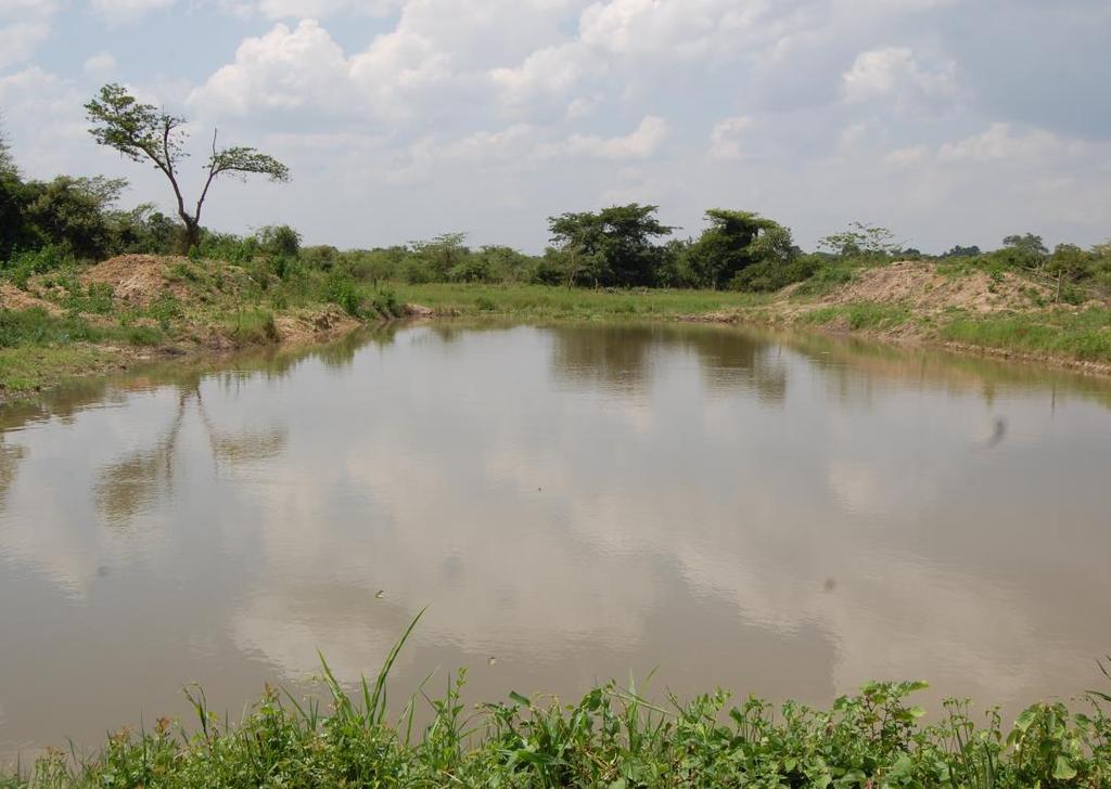 UGANDA Valley dams/tanks built in Karamoja and in the cattle corridor; They are used to water cattle