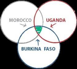 COMPARATIVE ANALYSIS Burkina Faso Morocco Uganda Agricultural Extension System (AES) AES at municipal level, but under funded; AES restructured (ONCA--CCA) NAADS disbanded, due to