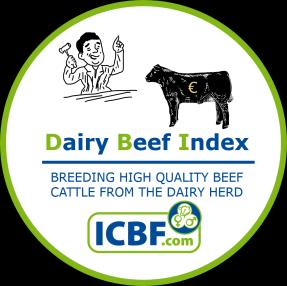 total of 12 traits are included in the DBI; these include: gestation length, calving difficulty, calf mortality, feed intake, docility, carcass weight, carcass conformation, carcass fat, and two out