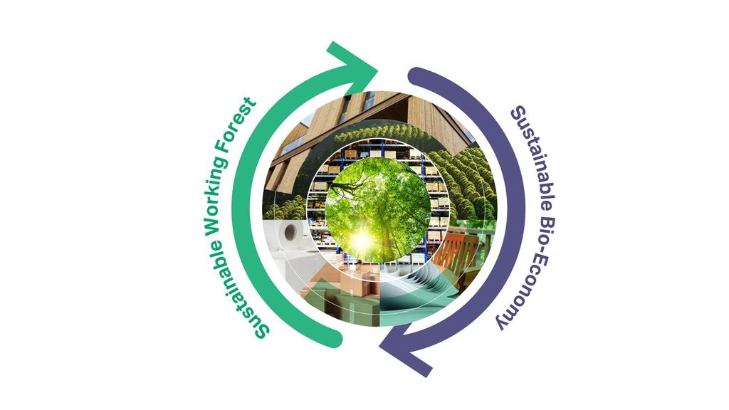 Pillars of Work: Bio-Economy and Working Forest Continuously supply renewable materials for the bio- economy while providing multiple benefits for people and the planet such as carbon sequestration,