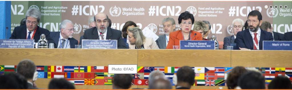 FAO`s work: Governed by the member countries Normative work in
