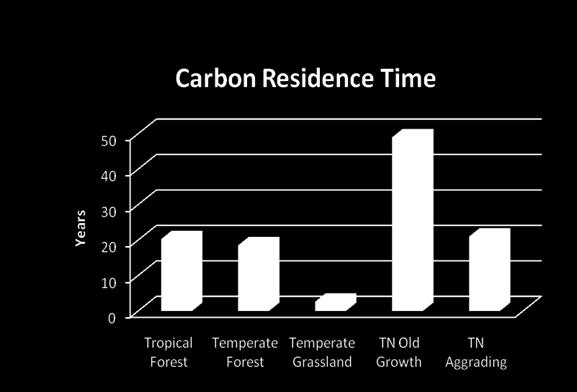 carbon inventory, e.g.