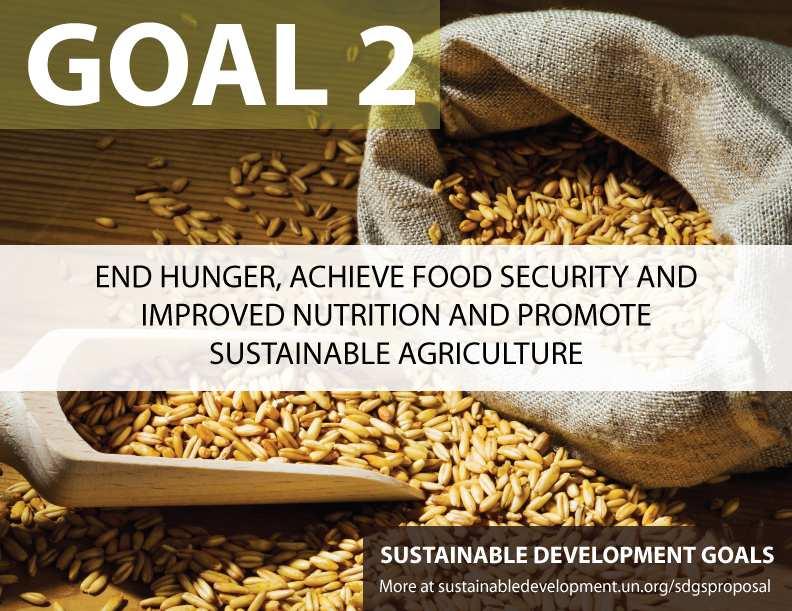 6 of 7 16/12/2014 5:21 PM November issue SDG 2: End hunger, achieve food security and improved nutrition, and promote sustainable agriculture On 10 September 2014, the UN General Assembly decided