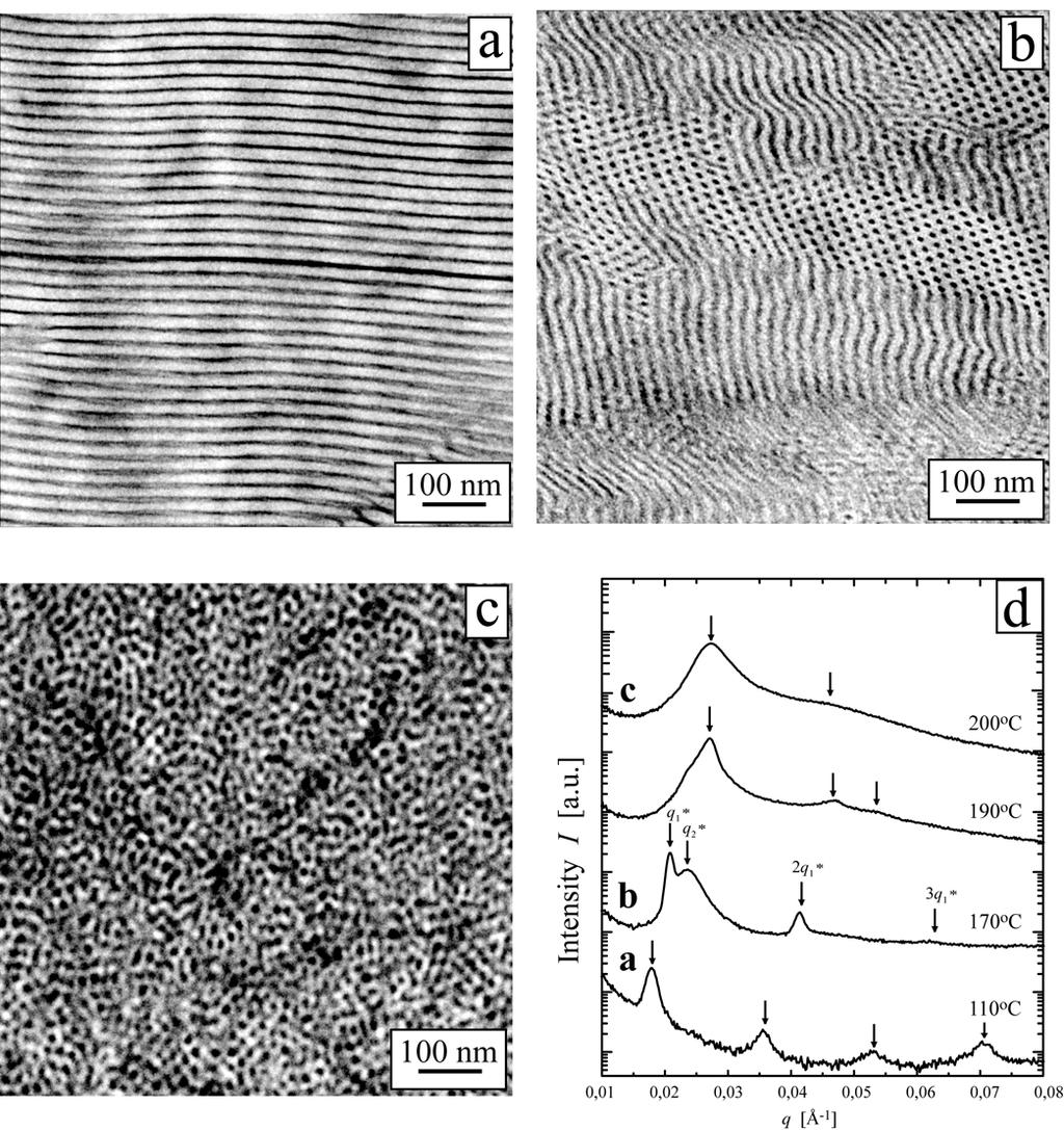 Supporting Figure S10. TEM micrographs of PS-block-P4VP(MSA) 1.0 (PDP) 1.0 with f comb,2 = 0.48 (S48.81k.