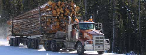 The Peace Country is Alberta s leading producer of pulp, paper, and panel board. FOREST PRODUCTS STATS (2016) Shipments: $5.6 billion (Provincial Record) Exports: $2.