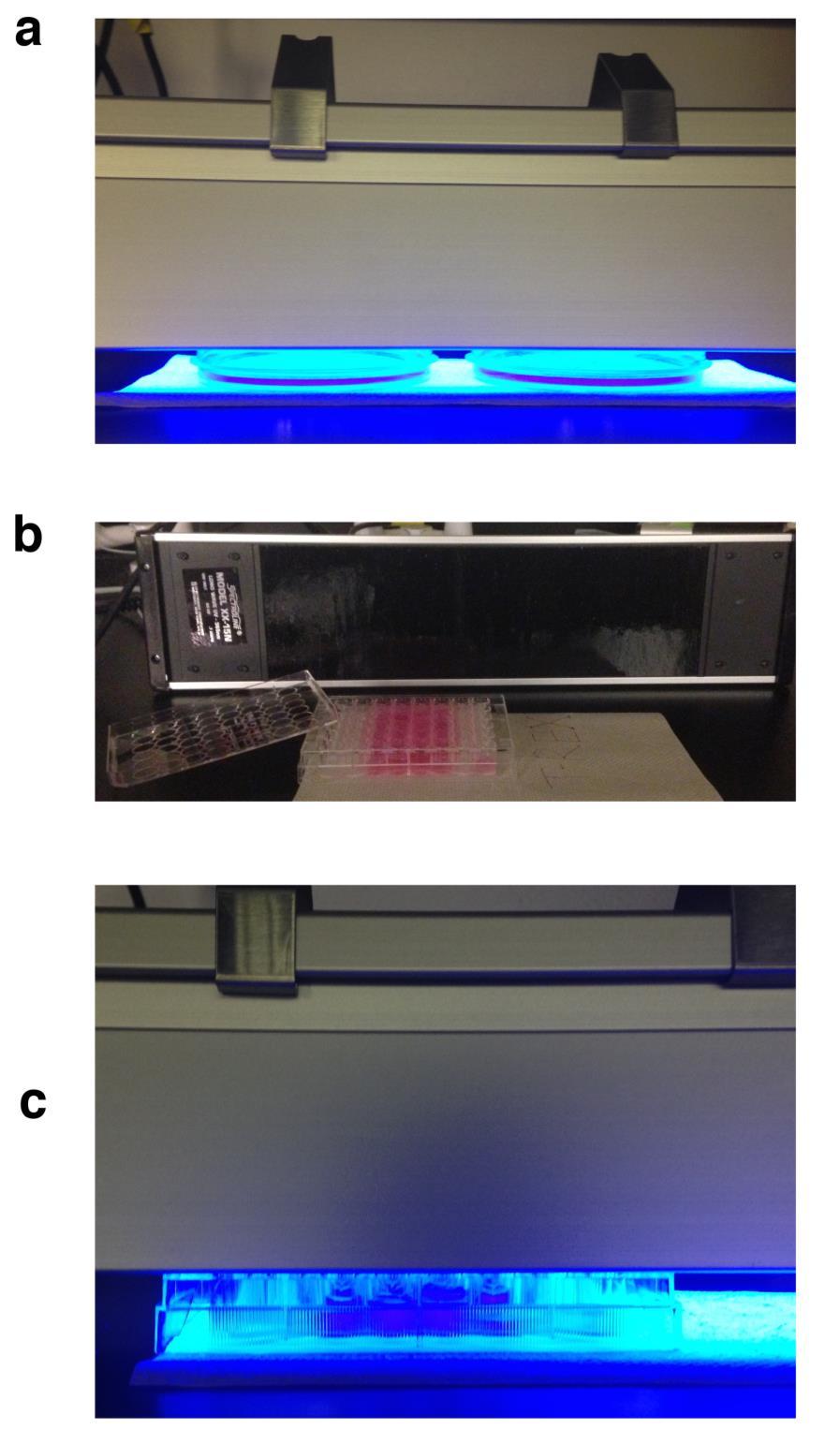 Supplementary Figure 1 Executing T-REX in mammalian cells HEK-293 cells cultured (a) in 2x 55 cm 2 adherent cell culture plates, and (b and c) in a 48-well multi-well adherent cell
