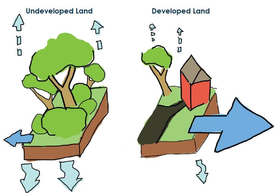 Impacts of Development Source:
