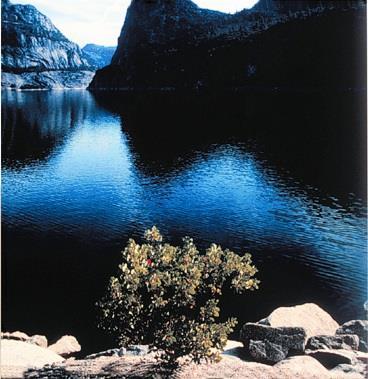 Hetch Hetchy Raker Act (1913) - Federal lands in the Sierra Nevada Mountains, including Hetch Hetchy Valley in Yosemite,