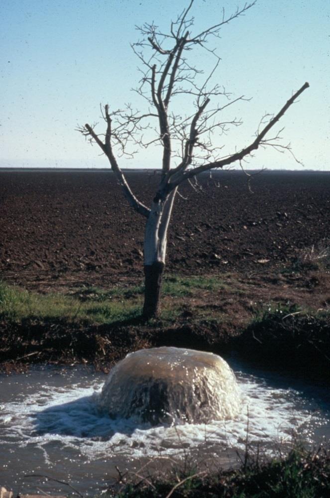 Groundwater Groundwater exists in aquifers water bearing permeable rock or unconsolidated gravel, sand or silt About 30% of state s ag and urban water supply comes from groundwater in normal years;