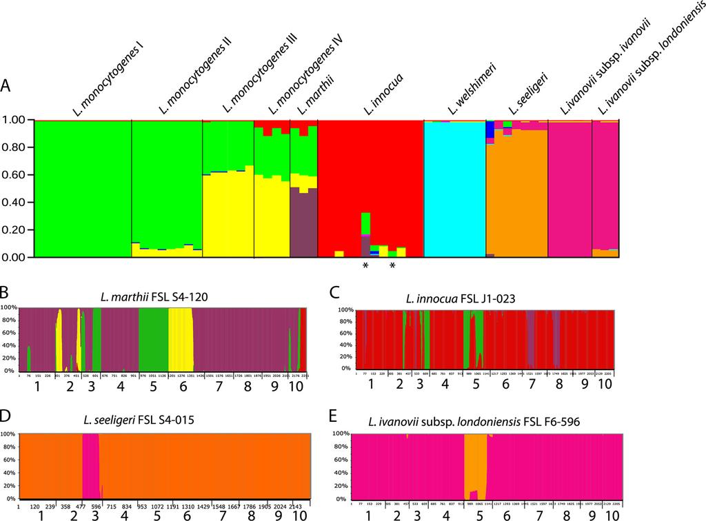 VOL. 76, 2010 EVOLUTION AND PHYLOGENY OF LISTERIA 6093 FIG. 2. Mixture of ancestry as inferred by the program STRUCTURE. (A) Proportions of ancestry from ancestral L.