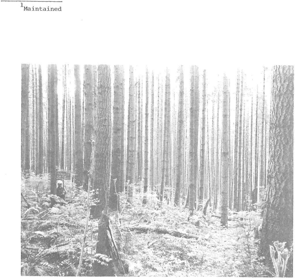 THE STUDY AREA AND TREATMENT The study area was an unthinned, nearly pure Douglas-fir stand in the McCleary,Experimental Forest l in western Washington (fig. 1).