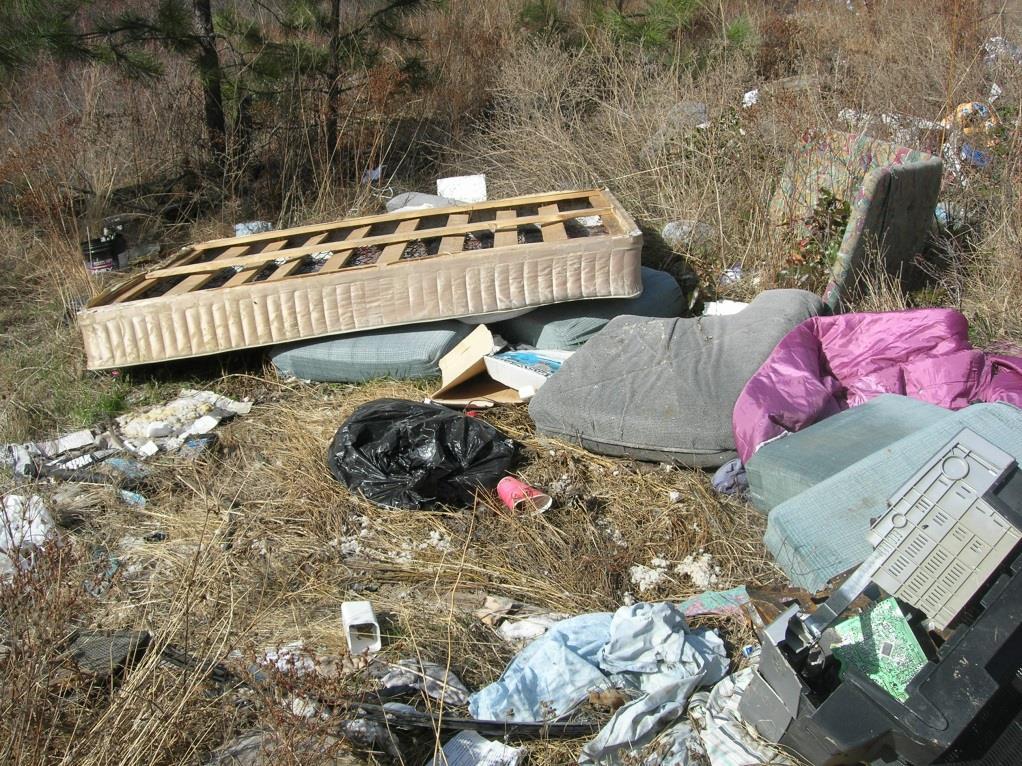 PROPOSED INITIATIVES RESOURCE RECOVERY AND ILLEGAL DUMPING Investigate opportunities to process and recycle construction and demolition materials and to recover energy