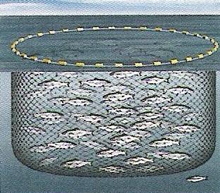 Aquaculture Example: Produces wastes that pollute ocean