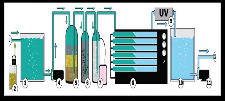 facilitate membrane cleaning, A post-treatment system to achieve the required product quality.